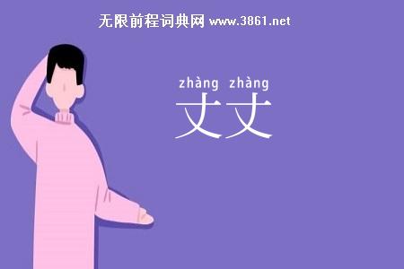 丈丈