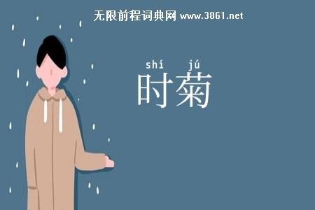 时菊