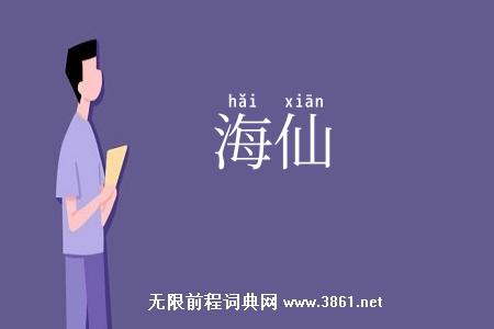 海仙