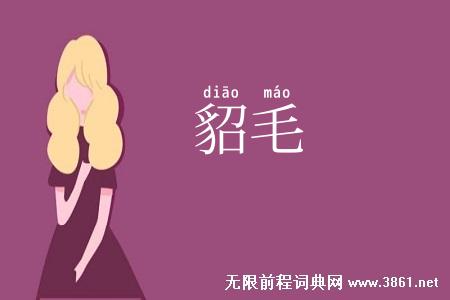 貂毛