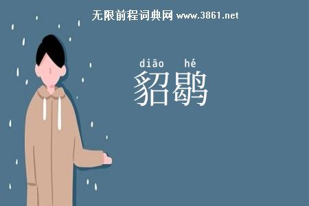 貂鹖